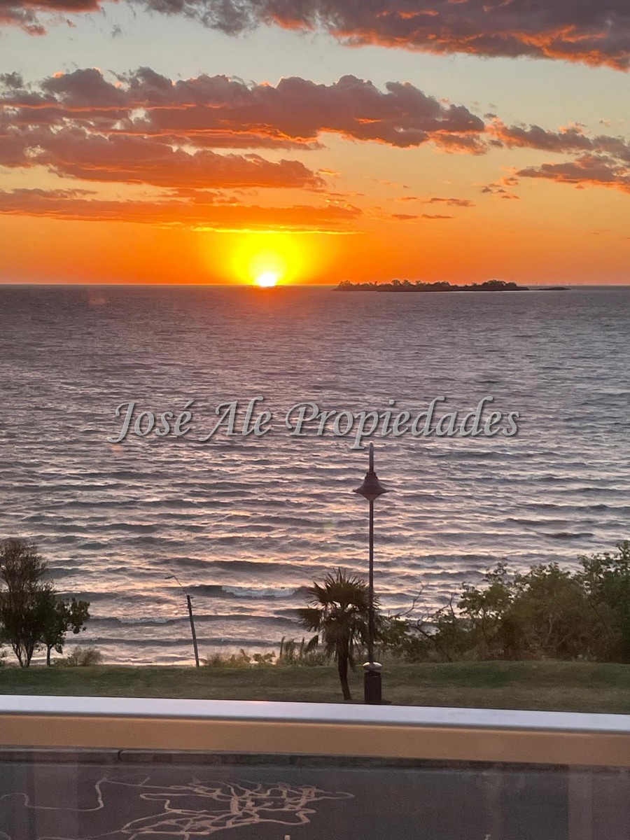 2613_WhatsApp Image 2026-01-12 at 16.53.48.jpg